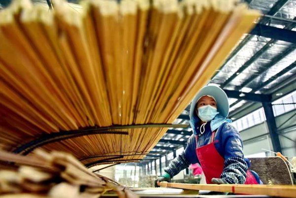 重庆配资炒股 深化先行区集体林改，国家林草局若干措施释放哪些信号