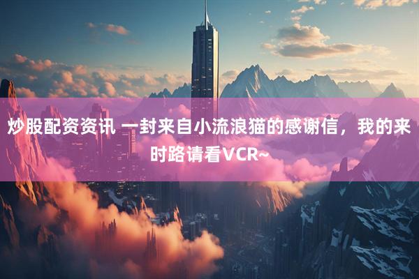 炒股配资资讯 一封来自小流浪猫的感谢信，我的来时路请看VCR~
