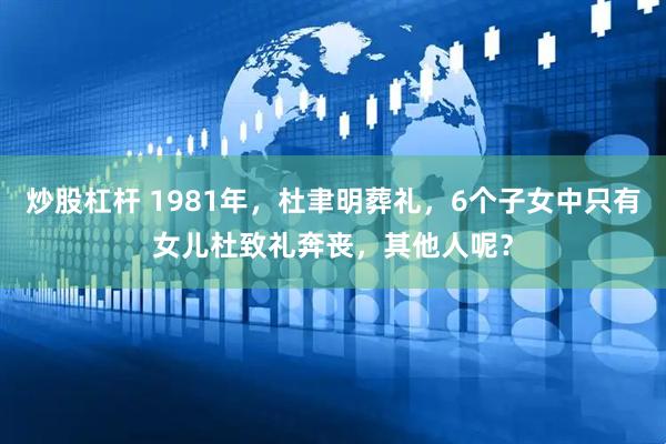 炒股杠杆 1981年，杜聿明葬礼，6个子女中只有女儿杜致礼奔丧，其他人呢？